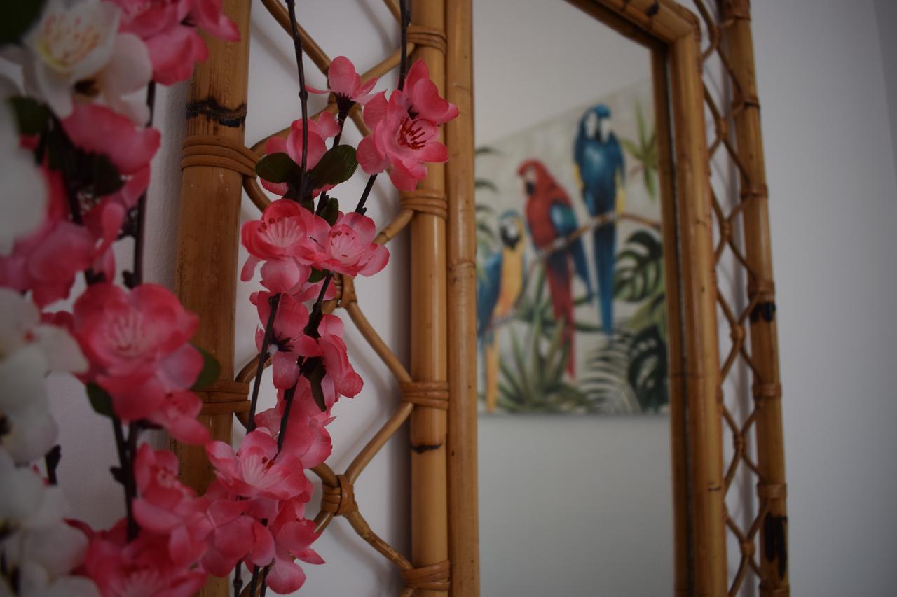 라스팔마스 Casa Cinzia B&B 외부 사진